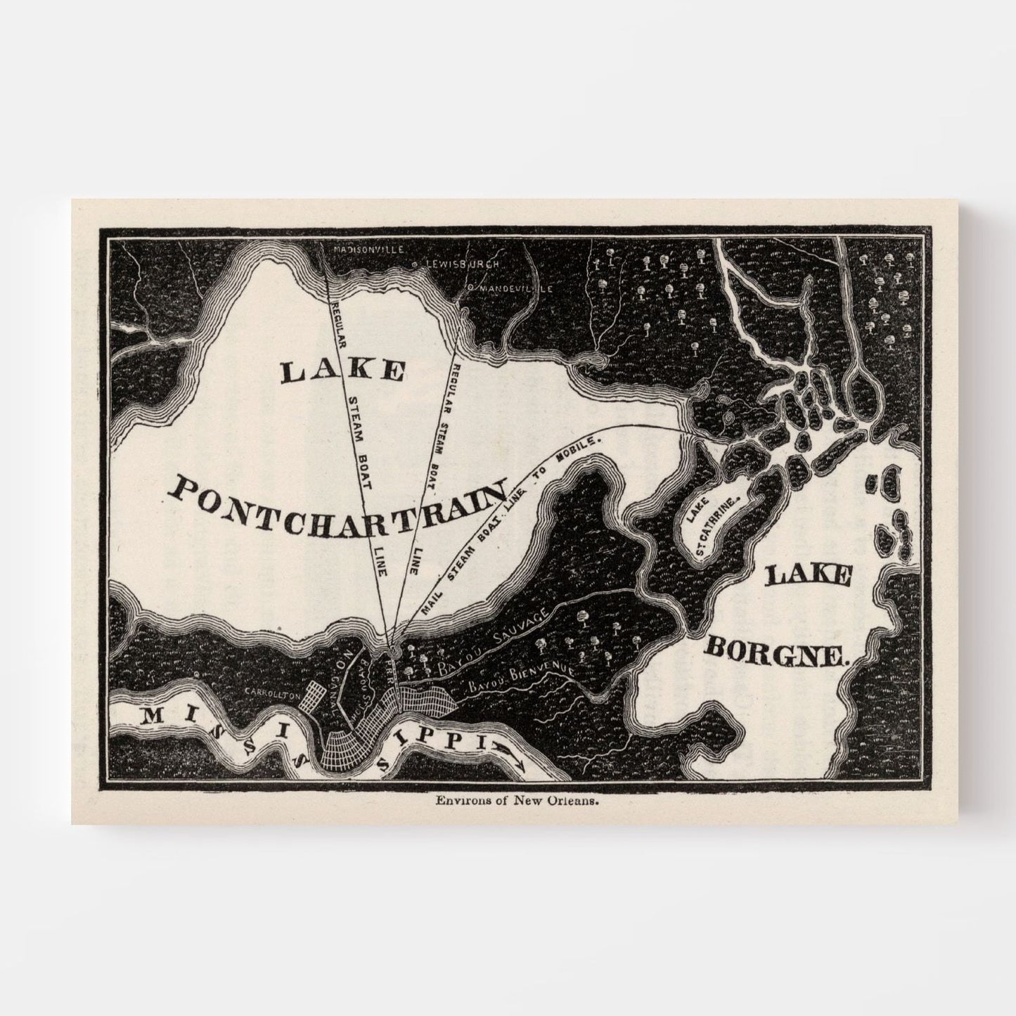 Vintage Map of New Orleans, Louisiana 1845