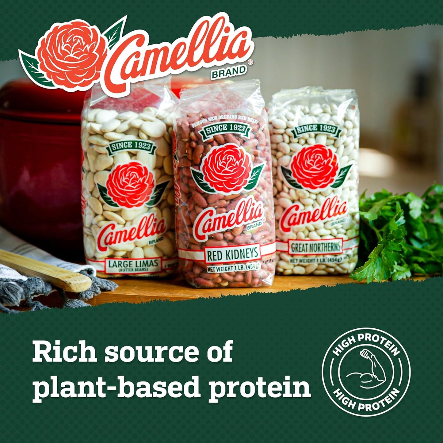 Dried Great Northern Beans – Premium White Beans for Soups, Stews, Casseroles & Side Dishes – Non-Gmo, Gluten-Free, High Protein, Vegan & Vegetarian Friendly, 1 Pound (Pack of 2)
